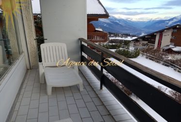 Charmant appartement sud très lumineux de 2 pièces, à 5 minutes à pied du centre de Montana !