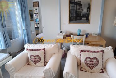 Charmant appartement sud très lumineux de 2 pièces, à 5 minutes à pied du centre de Montana !