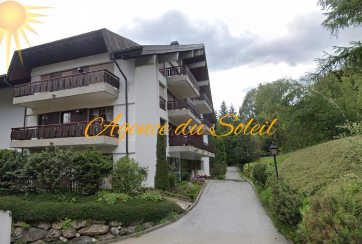 Dans le quartier très prisé de Tsarbouye, splendide appartement de 4.5 pièces avec vaste terrasse et jardin!