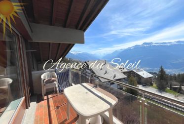 Adorable Cocon de 2.5 pièces + mezzanine habitable à proximité du centre de Montana !