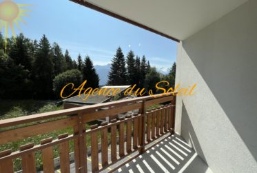Charmant appartement de 3.5 pièces, en face des remontées mécaniques des Violettes !