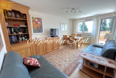 Charmant appartement de 3.5 pièces, en face des remontées mécaniques des Violettes !