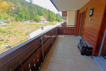 Coup de cœur assuré pour cet appartement idéalement situé au centre de la station, offrant une vue imprenable et un accès direct au lac de Grenon !