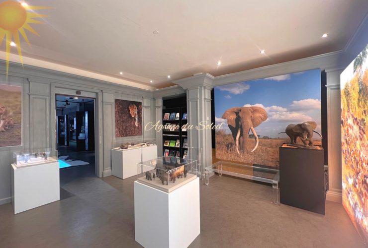 Grand espace commercial de 191 m² en plein cœur de la station !