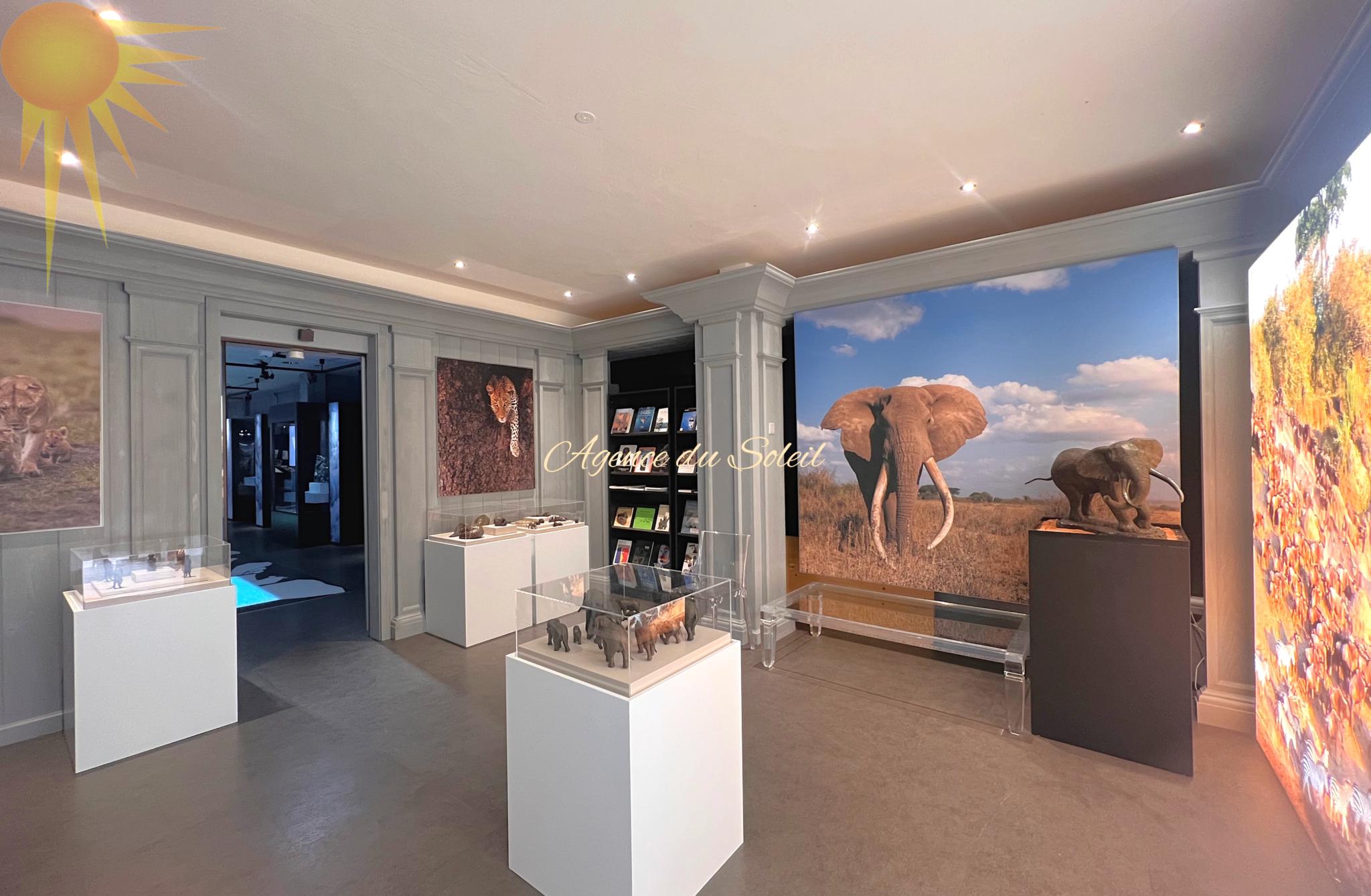 Grand espace commercial de 191 m² en plein cœur de la station !