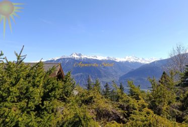 Idéal pour une famille, ce magnifique et spacieux chalet à 5 mn en voiture du centre de la station !