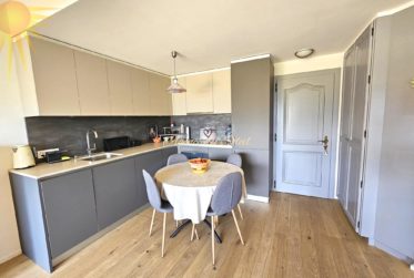 En exclusivité ! Charmant 2.5 pièces, rénové en 2024, avec une vaste terrasse plein sud !