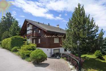À louer à l'année! Spacieux appt. 4.5 pcs et 140 m² + vaste terrasse-jardin, dans un beau chalet résidentiel, à proximité du Golf 18 trous !