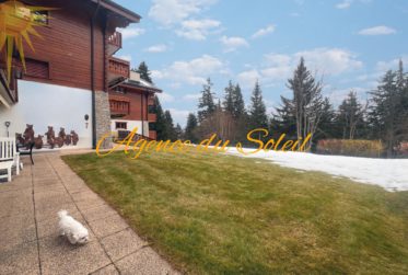 Somptueux lot de 4.5 pièces + 3.5 pièces + chambre de service avec jardin et piscine privée au cœur de Crans !