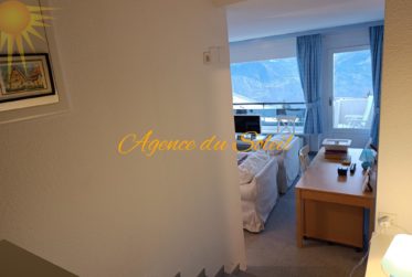 Charmant appartement sud très lumineux de 2 pièces, à 5 minutes à pied du centre de Montana !
