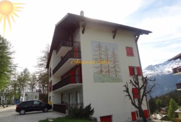 À louer à la saison d'hiver (dès 1er novembre2026,) : Bel appartement 2.5 pièces au bord du golf 18 trous et parking devant l’immeuble !