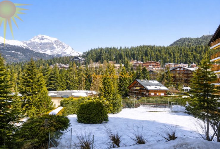 Idéal pour un pied à terre ou un investissement ! Adorable appartement nord de 3.5 pièces, rénové en 2024 à Crans !