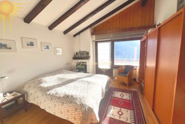 Charmante maison de 2 appartements, à 5' en voiture de Crans-Montana (Mollens) !