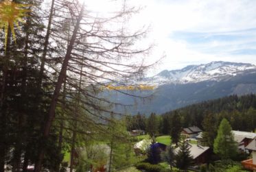 À louer à la saison d'hiver : Bel appartement 2.5 pièces au bord du golf 18 trous et parking devant l’immeuble !