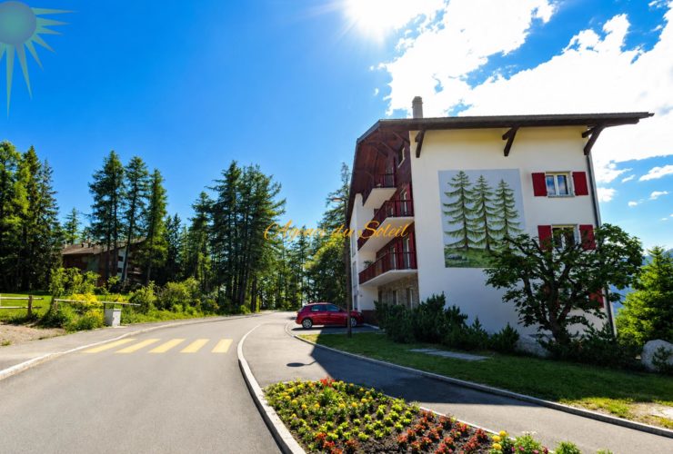 À louer à la saison d'hiver : Bel appartement 2.5 pièces au bord du golf 18 trous et parking devant l’immeuble !