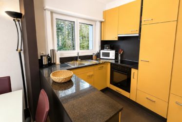 À louer à la saison d'hiver : Bel appartement 2.5 pièces au bord du golf 18 trous et parking devant l’immeuble !